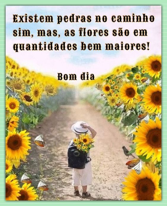 Bom dia motivacional com flores