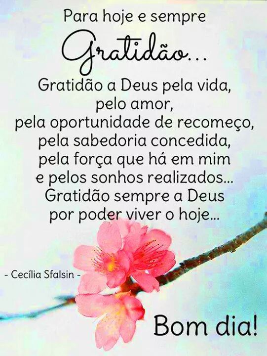 Para hoje e sempre gratidão