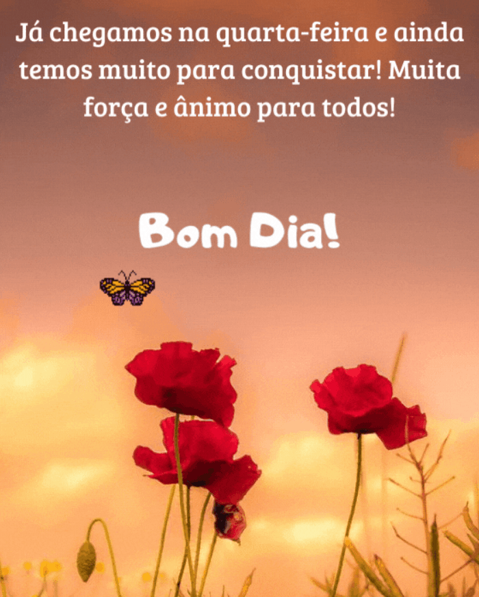 Bom dia Quarta-feira para instagram