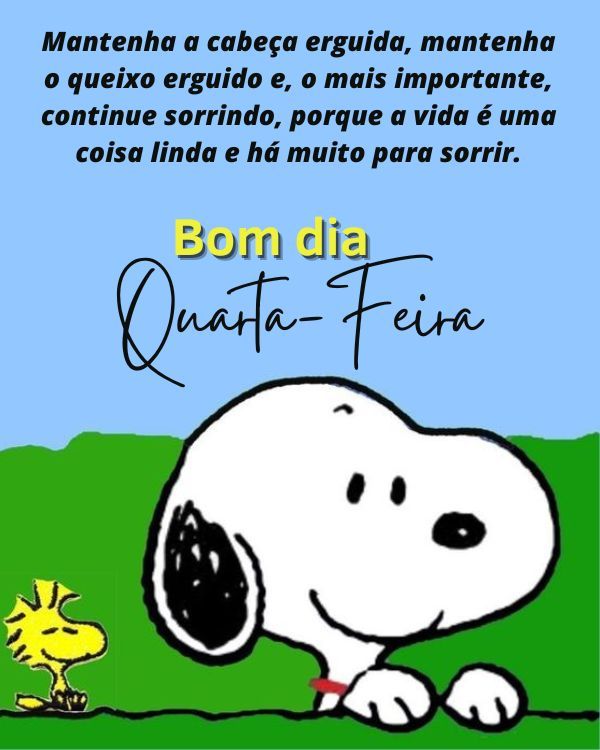 Continua sorrindo por que a vida é lida