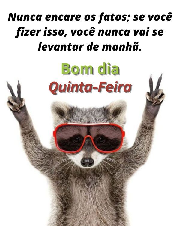 Nunca encare os fatos se fizer isso não vai se levantar de manhã