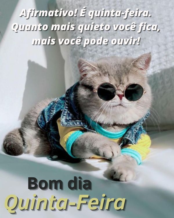 Imagens engraçadas de om dia