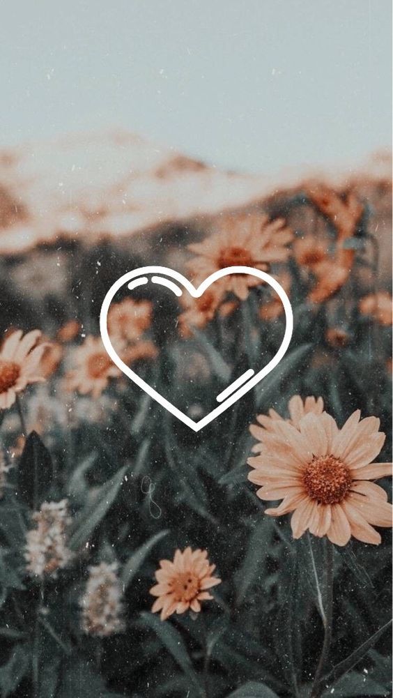 Wallpaper coração e flores