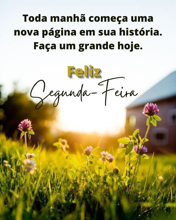 Toda manhã começa uma nova historia a sua vida