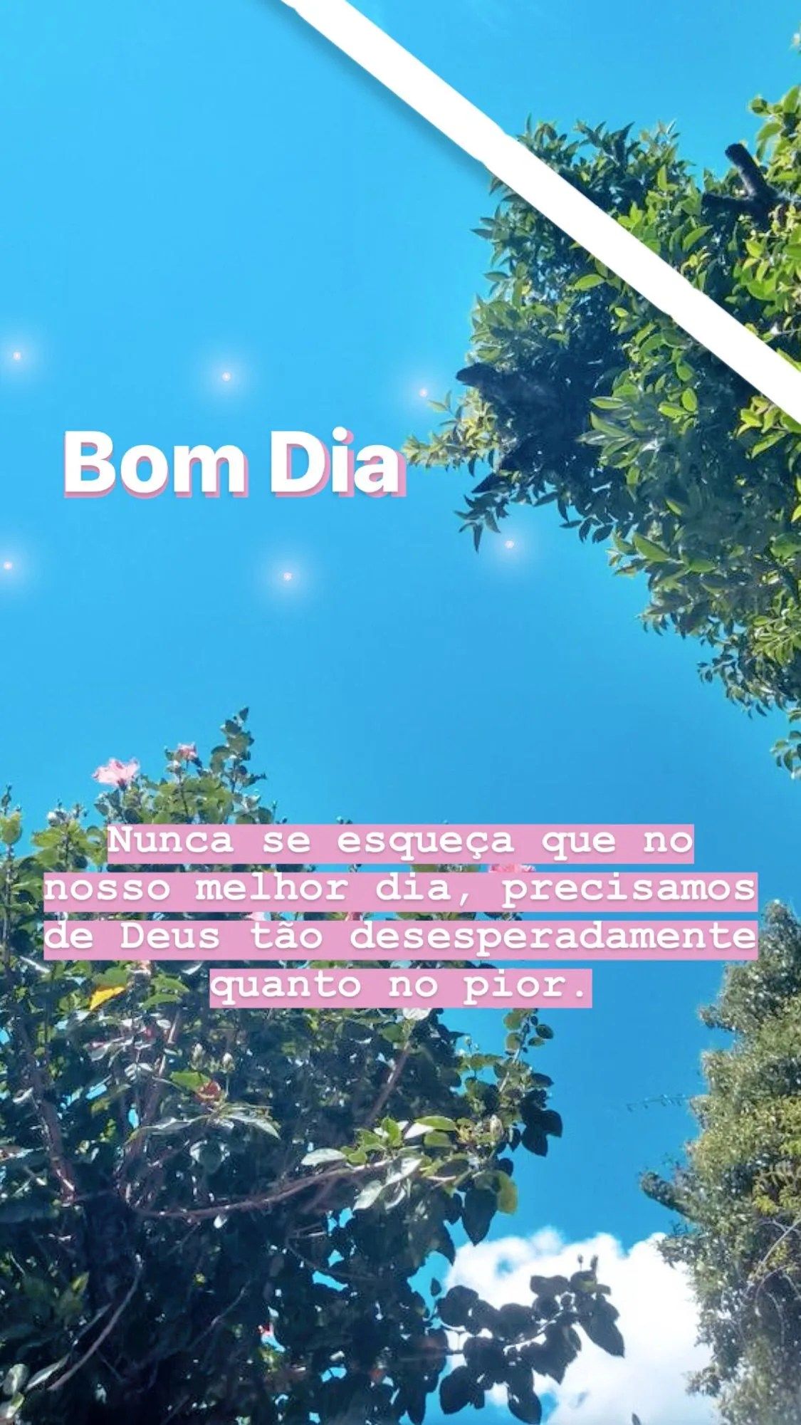 42 Frases de Bom dia Tumblr com Gratidão e Positividade