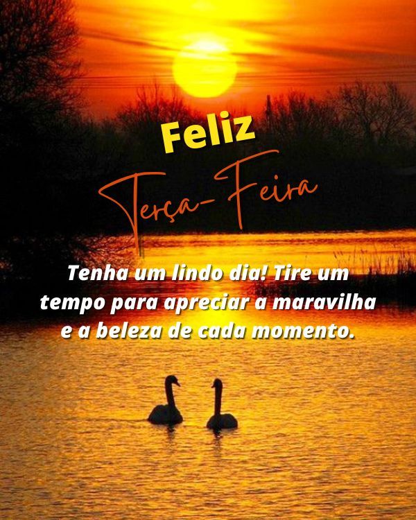 Aprecie as maravilhas de cada momento