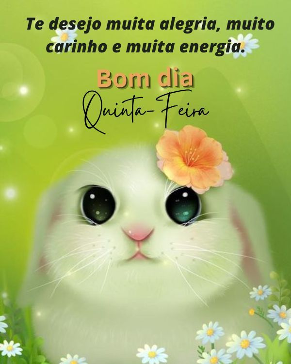 Te desejo muita alegria e carinho e muita energia