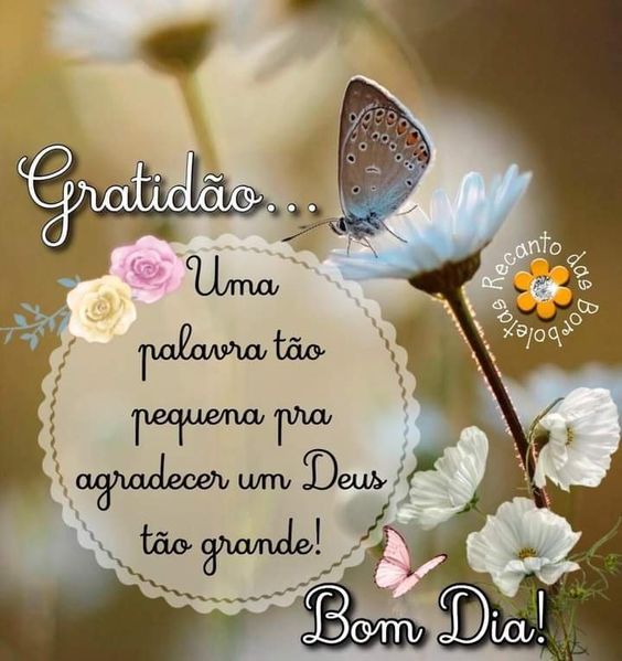 Bom dia gratidão Deus grande