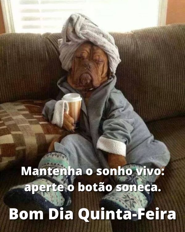Quinta-feira engraçada com bom dia