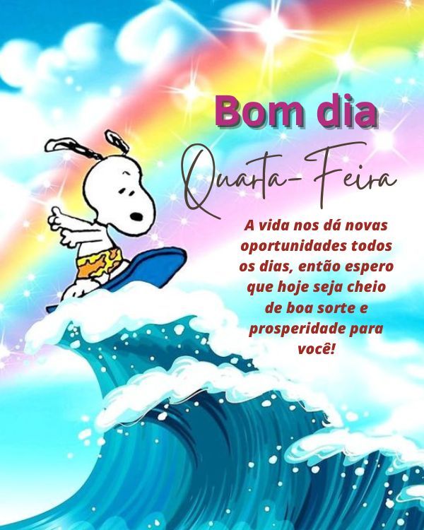 Novo dias com novas oportunidade