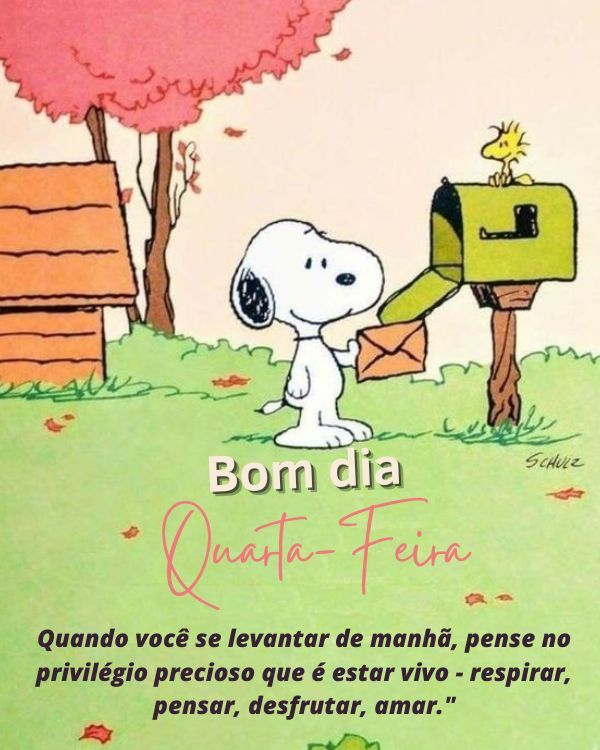 Imagens de bom dia quarta-feira