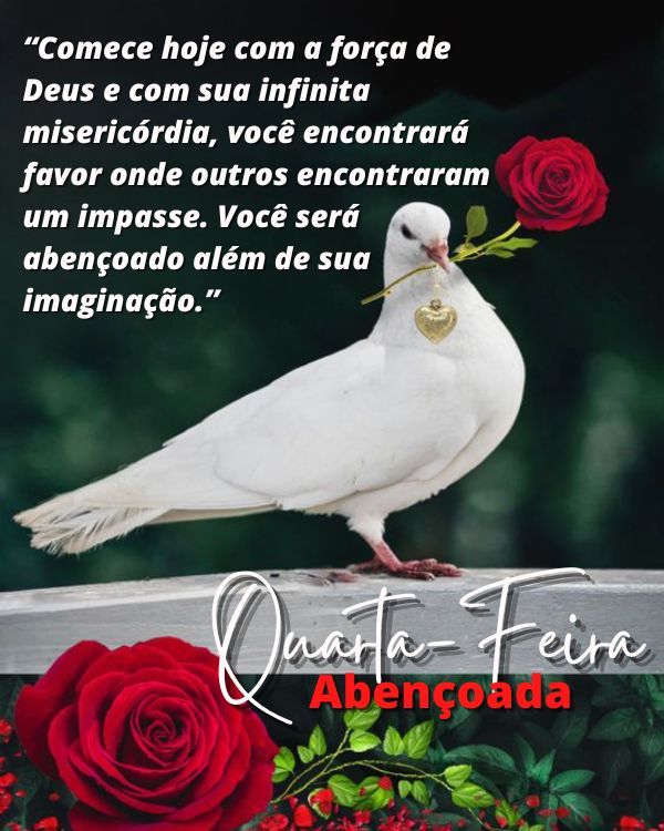 Frases abençoadas de feliz quarta-feira