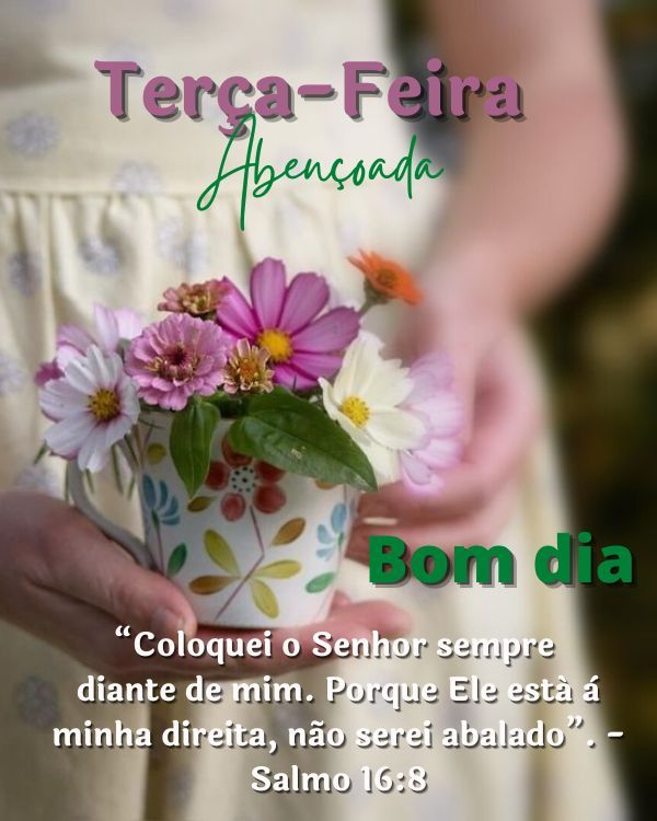 Coloque o senhor sempre a minha frente e nãos ei abalado por ninguém