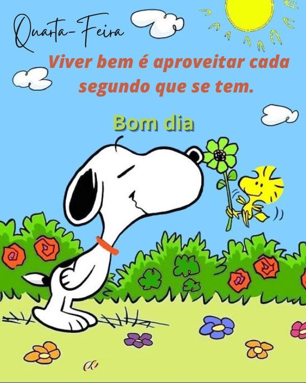 Viver a vida aproveitando cada segundo dela