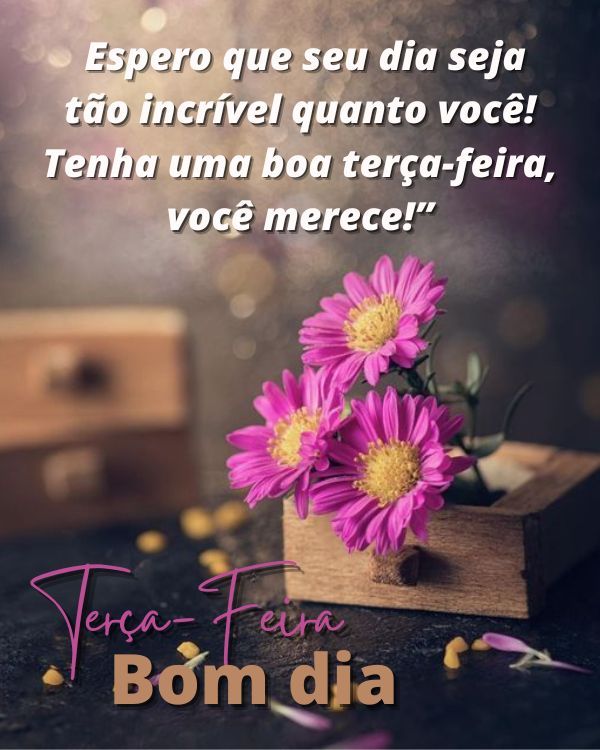 Que seu dia seja incrível como você