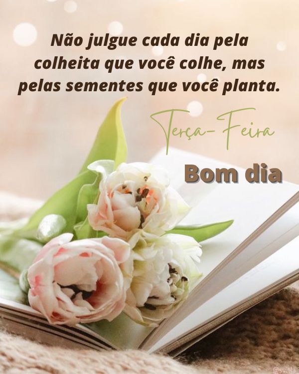 Terça-feira com bom dia