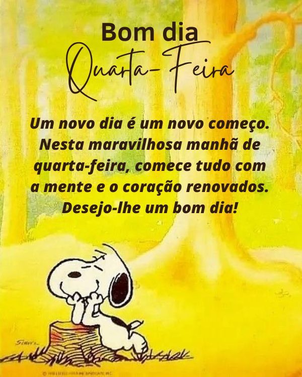 Um novo dia com novos começos