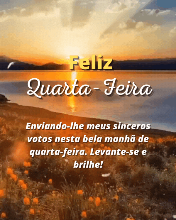 Frases de bom dia quarta-feira