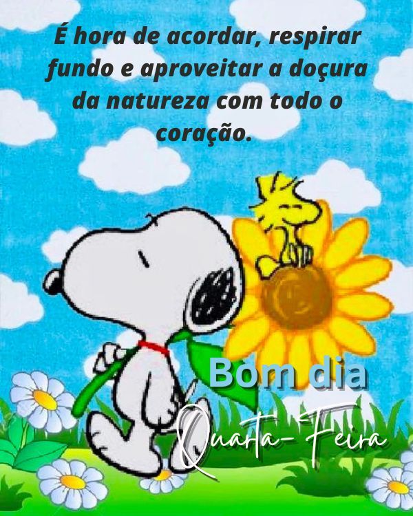 Imagens para desejar bom dia quarta-feira