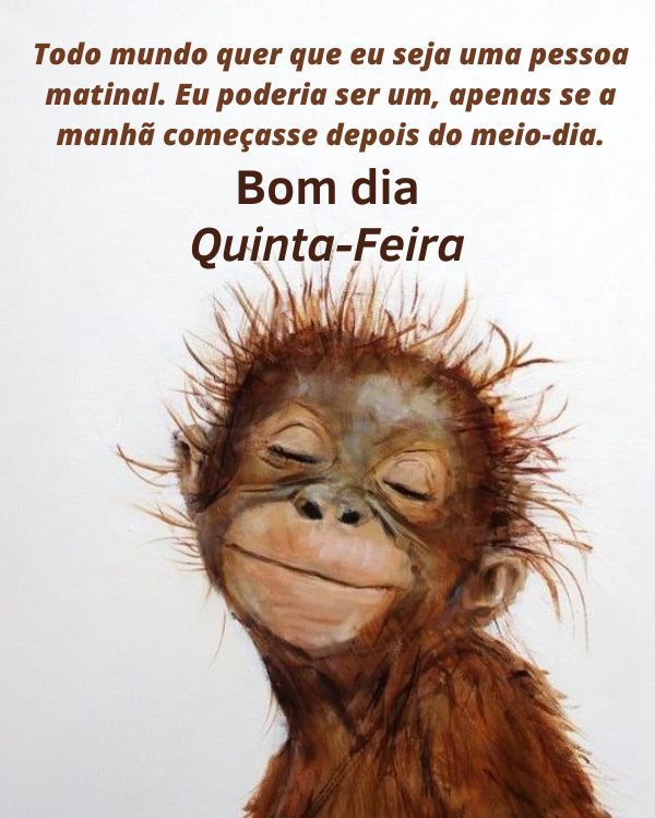 Mensagens engraçadas de quita-feira