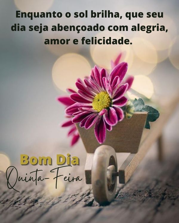 Enquanto o sol brilhar seu dia sera cheio de felicidade