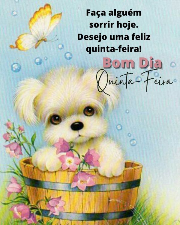 Desejo uma feliz quinta-feira