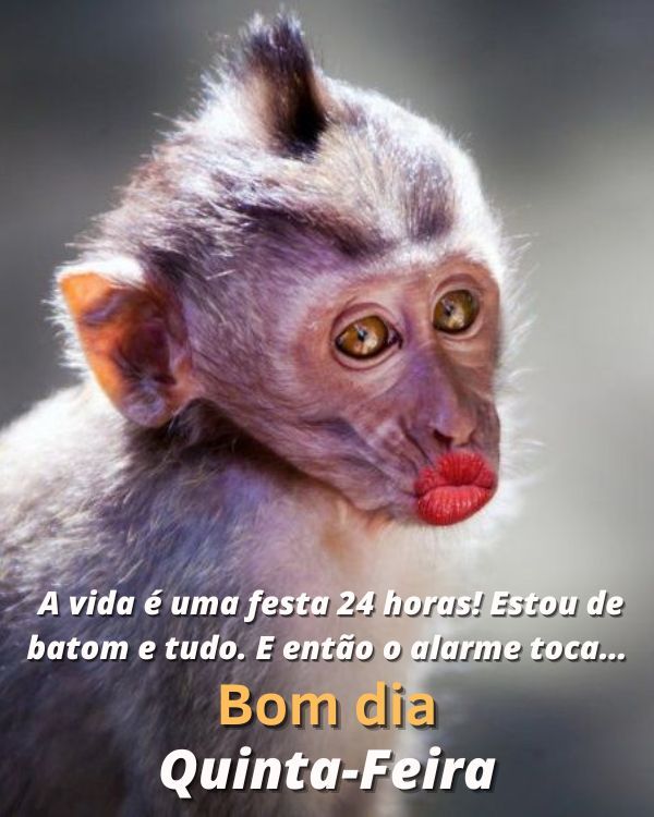 A vida é uma festa de 24 horas 