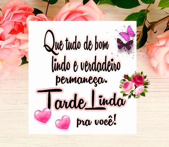 Tarde linda pra você