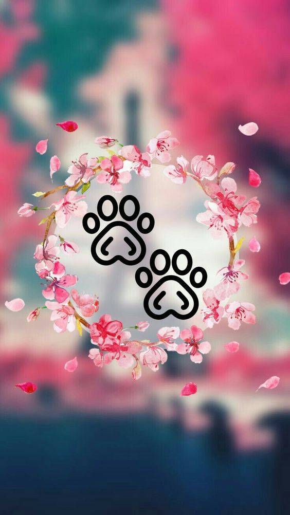 Wallpaper com flores e pegadas de cachorro