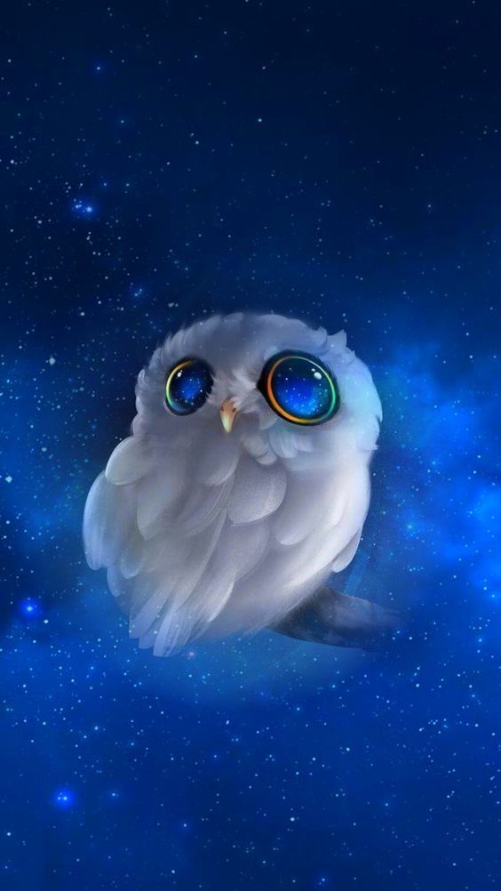 Wallpaper coruja branca