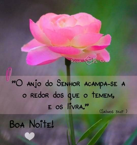 Boa noite, Salmos para meditar