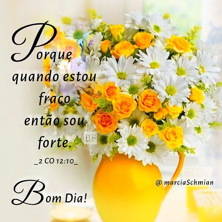 Bom dia com reflexão biblíca