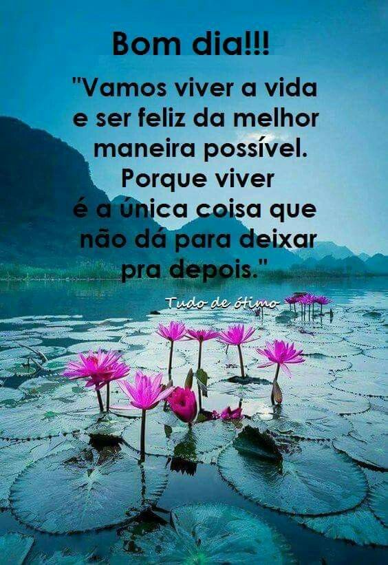 Bom dia, frases sobre a vida