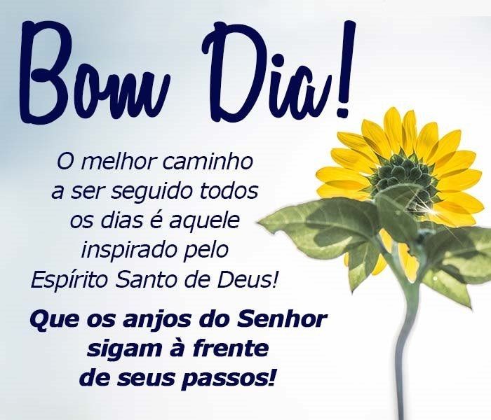 Bom dia para acordar e refletir