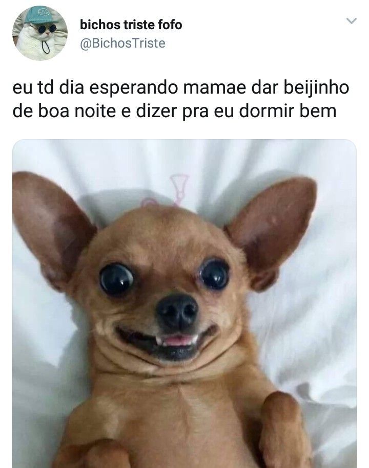 Cachorrinho feliz