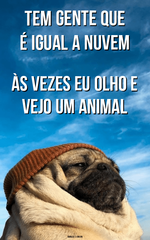 Frases com humor