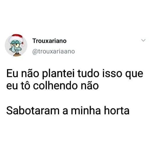 Frases com memes cheios de humor