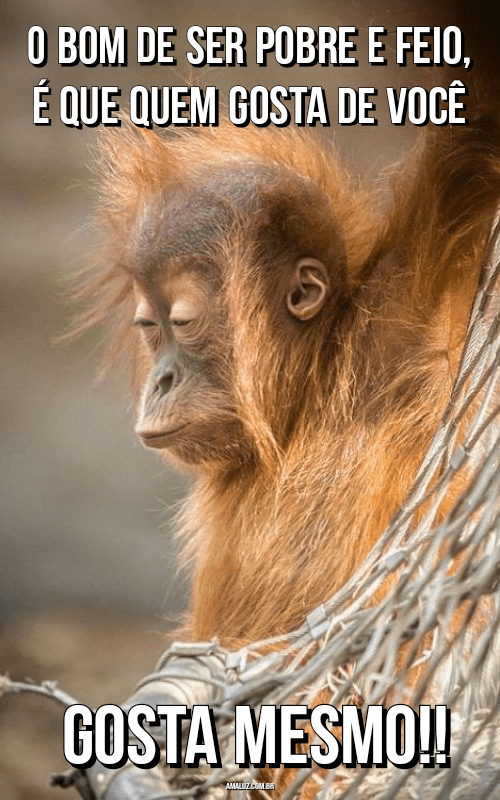 Frases de humor para Fecebook