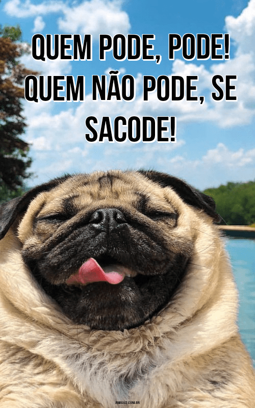 Frases de humor para WhtasApp