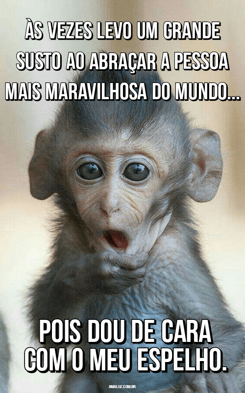 Frases divertidas para Fecebook