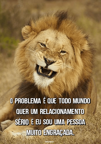 Frases divertidas para rir até chorar