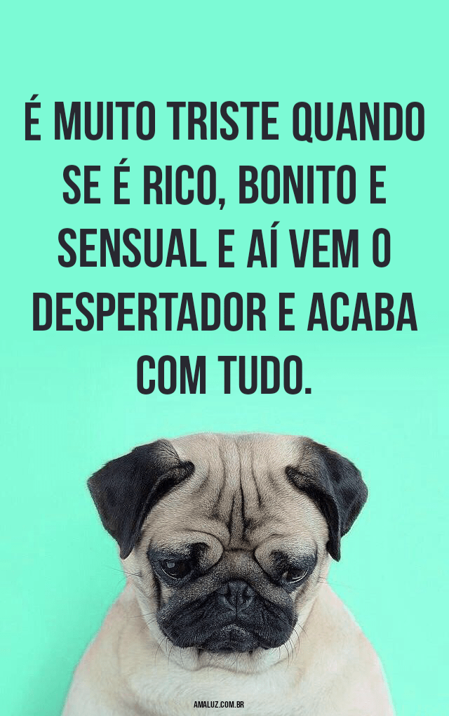 40 Frases Engraçadas com Imagens e Emojis para Rir até Chorar