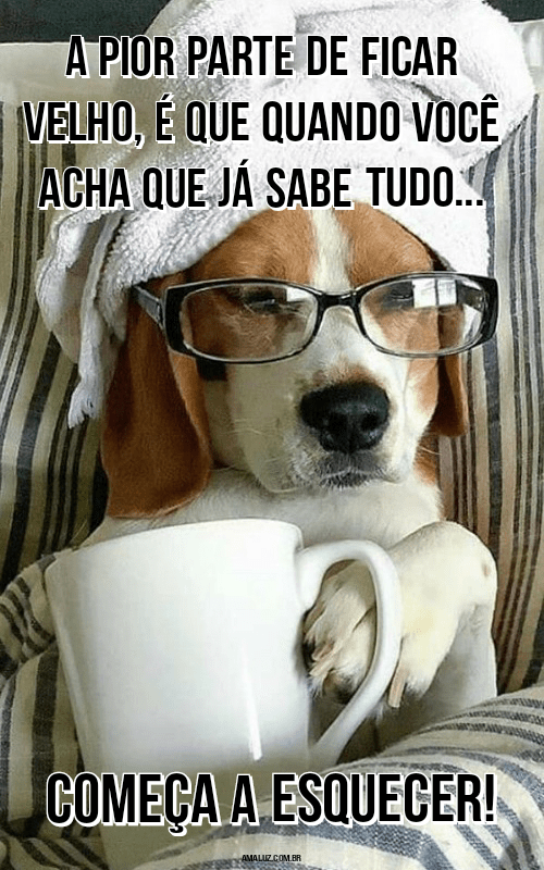 Frases engraçadas e divertidas para WhatsApp