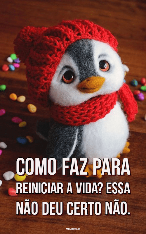 Frases engraçadas e humorísticas