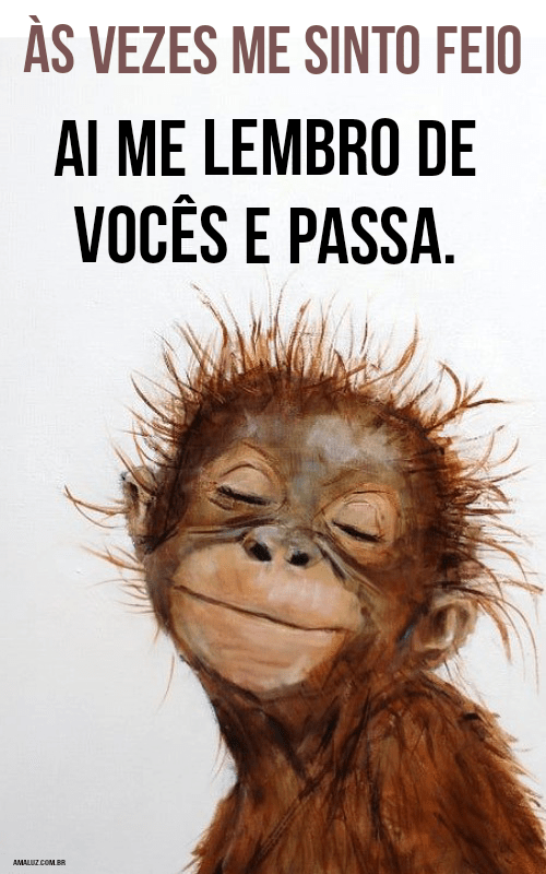 Frases engraçadas para grupo