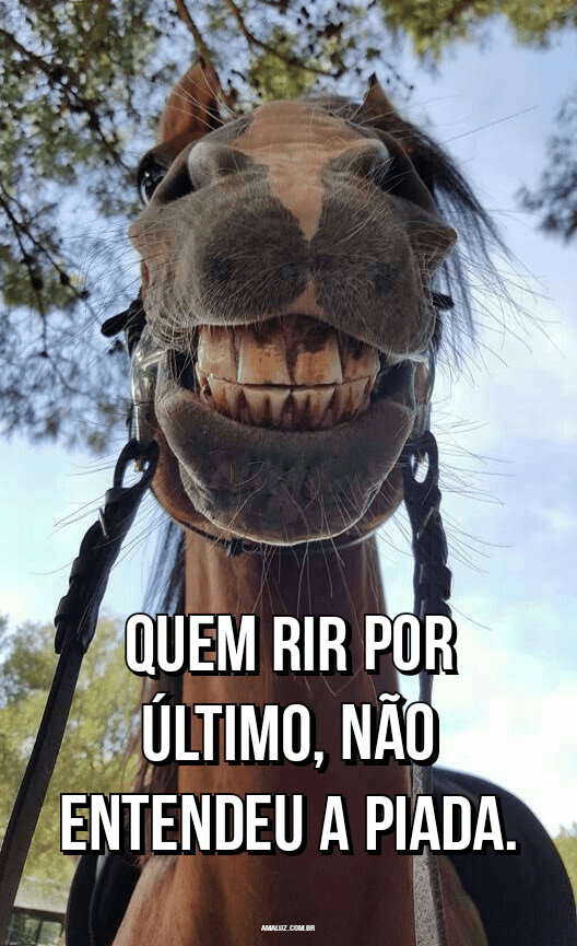 Frases engraçadas para sorrir