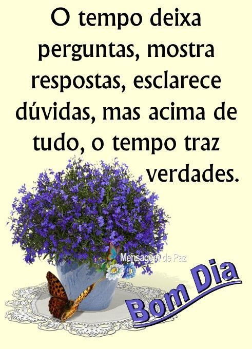 Frases para refletir