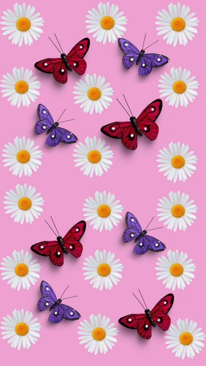 Imagem de papel de parede rosa com borboletas