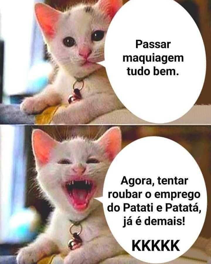Memes engraçados