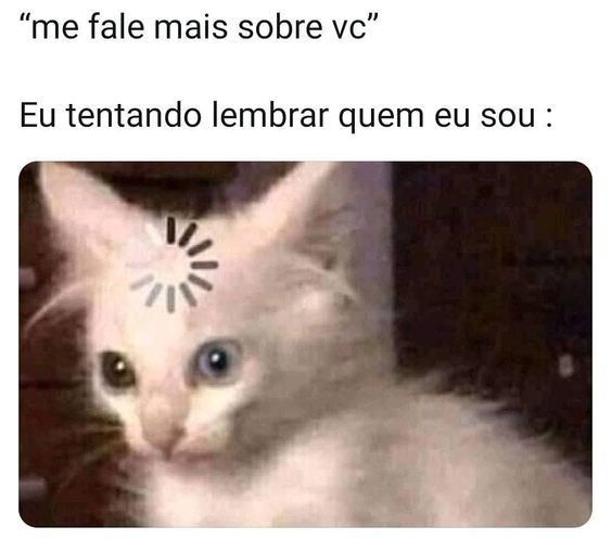 Memes engraçados